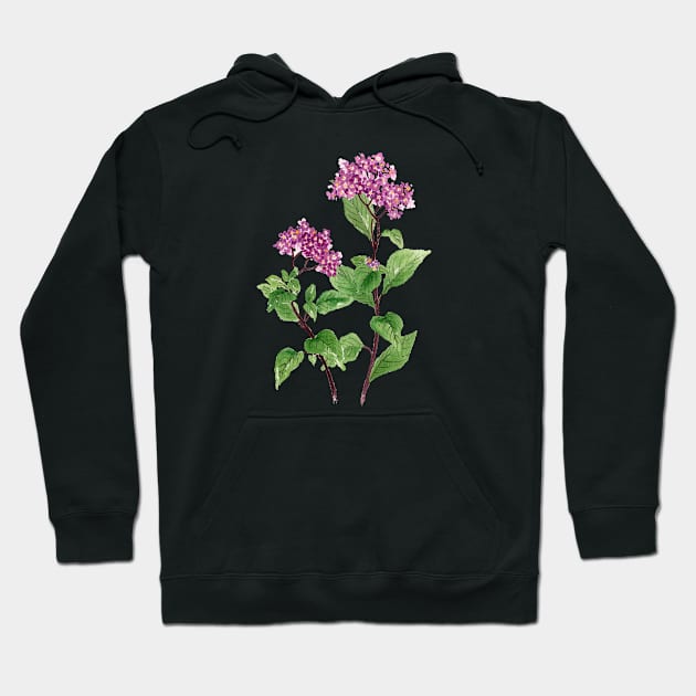 May 24th birthday flower Hoodie by birthflower